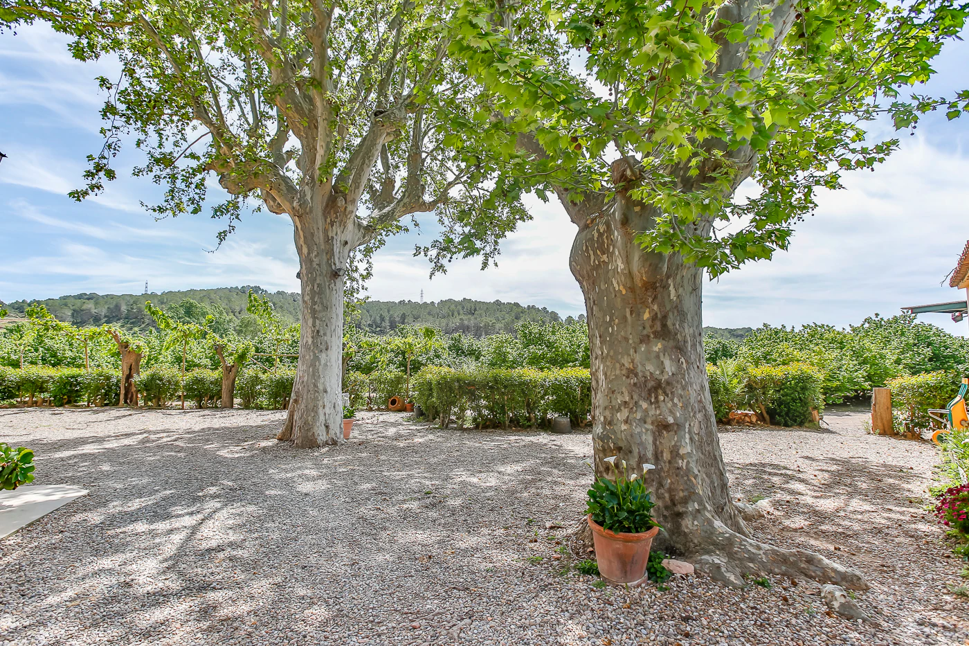 9663 - Espectacular finca rústica con masía estilo indiana