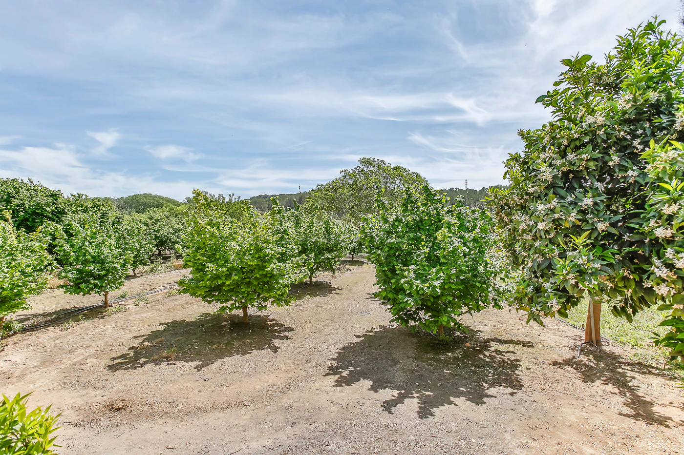 9663 - Espectacular finca rústica con masía estilo indiana