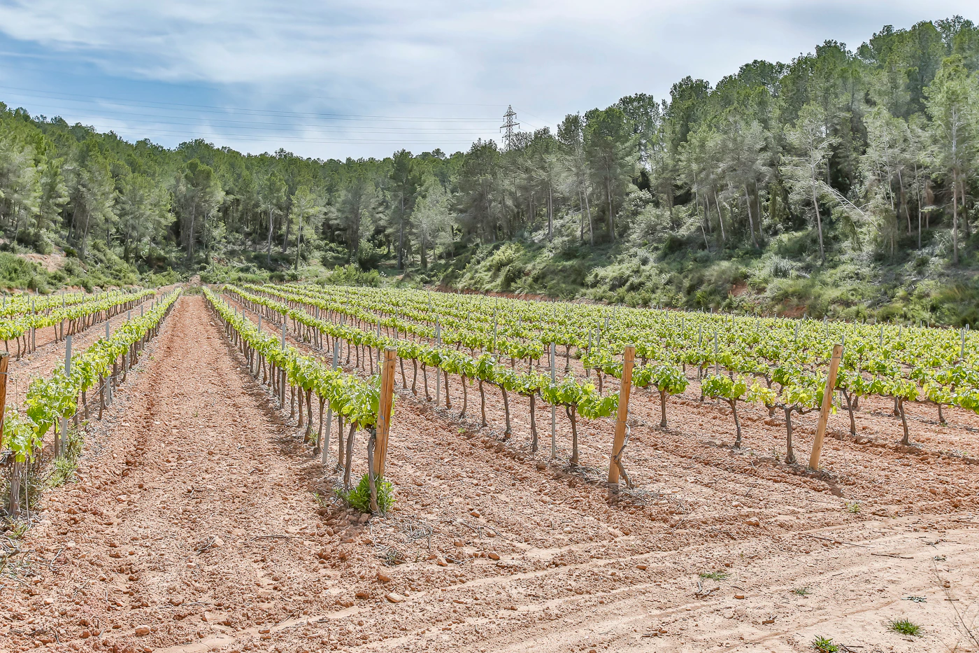 9663 - Espectacular finca rústica con masía estilo indiana