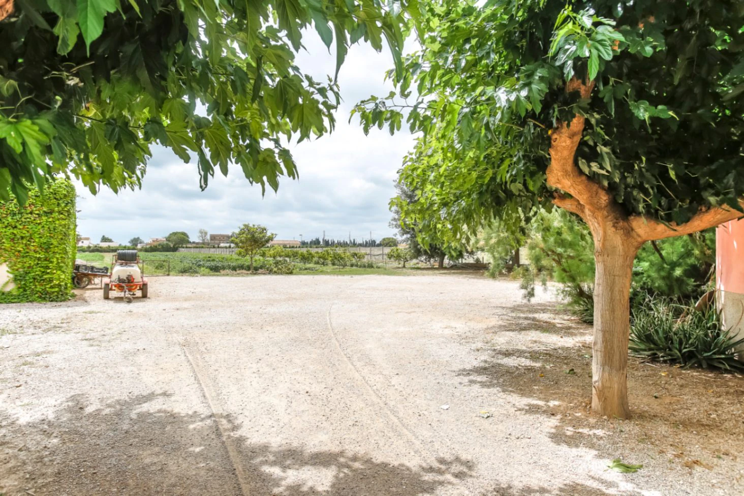 8345 - Masia-Restaurante con 6 habitaciones  en el Delta del Ebro