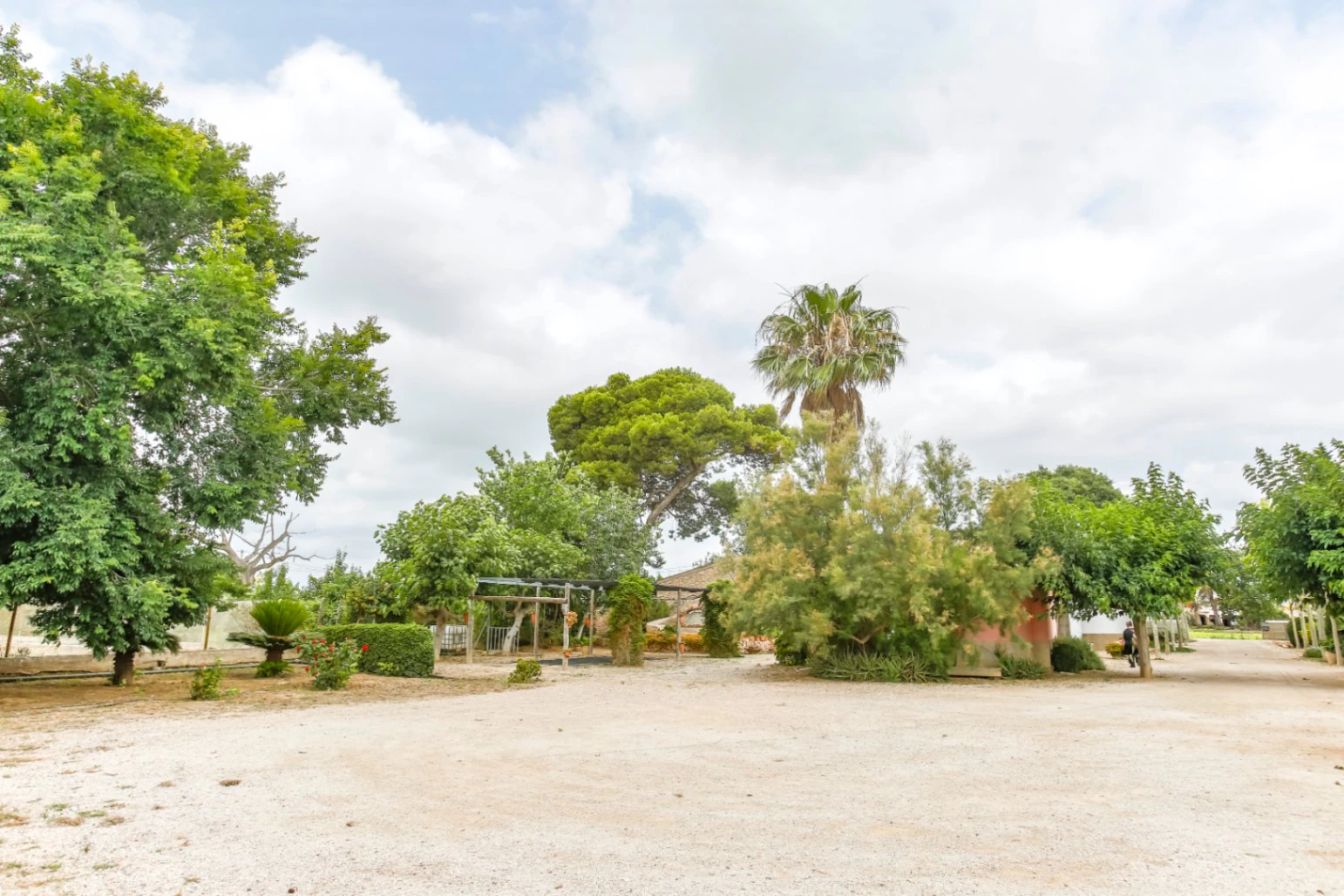 8345 - Masia-Restaurante con 6 habitaciones  en el Delta del Ebro