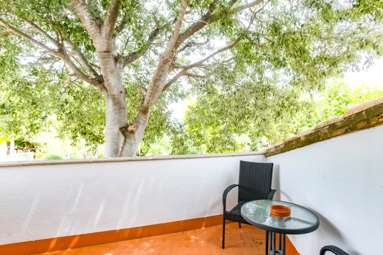 8345 - Masia-Restaurante con 6 habitaciones  en el Delta del Ebro