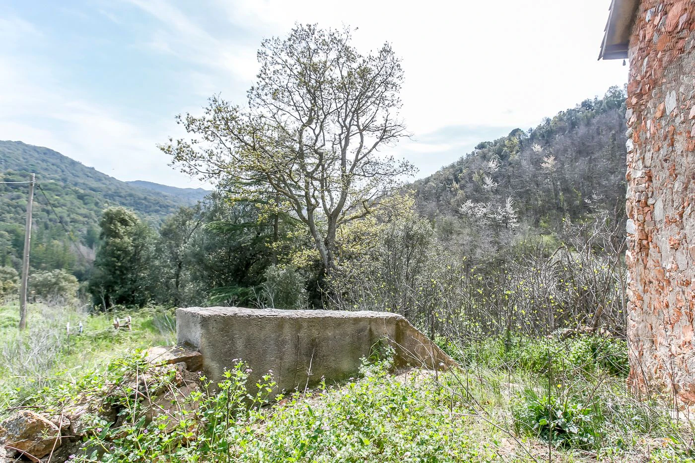 9997 - Masía con 23 hectáreas en el parque natural del Montseny