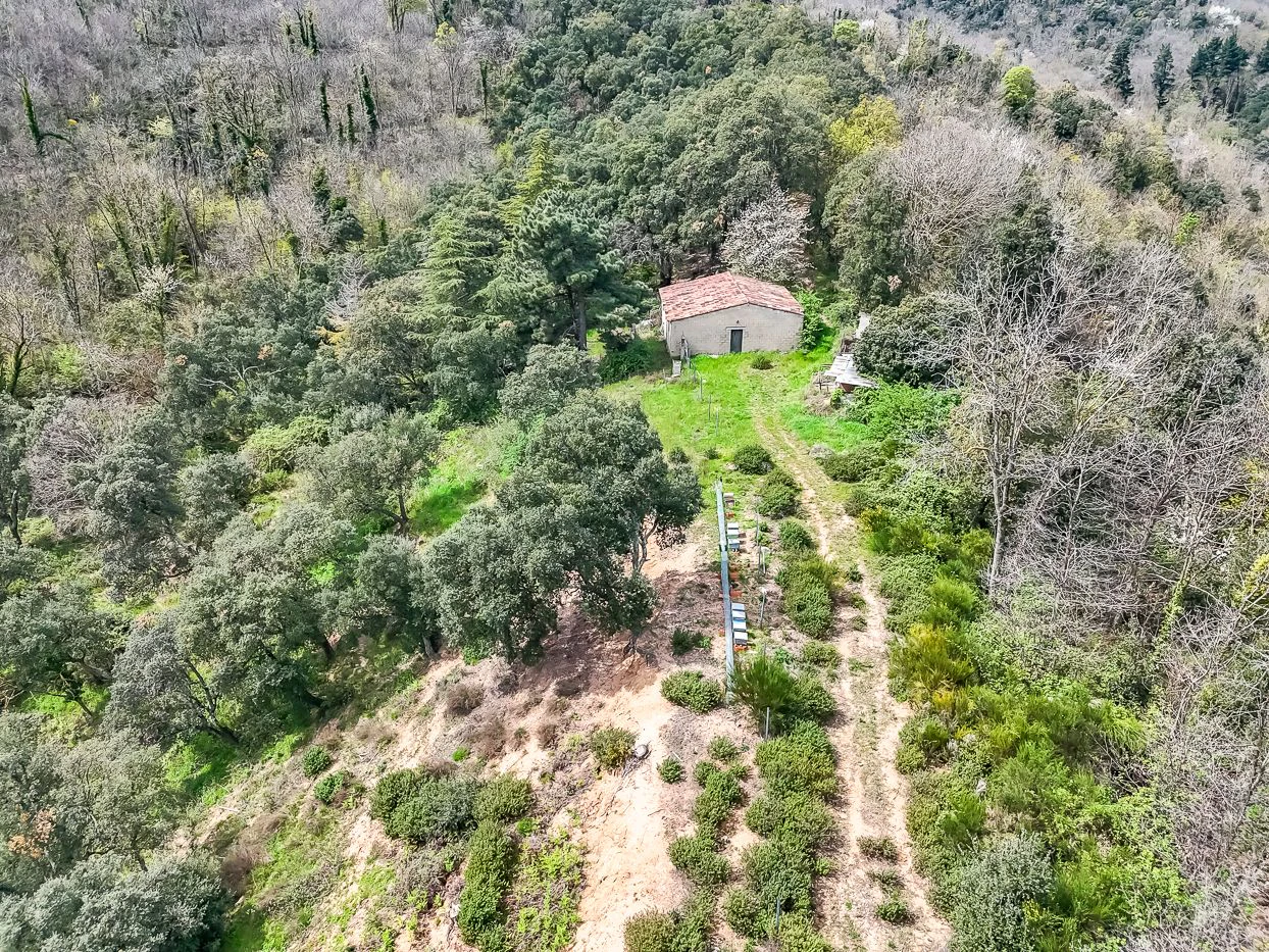 9997 - Masía con 23 hectáreas en el parque natural del Montseny