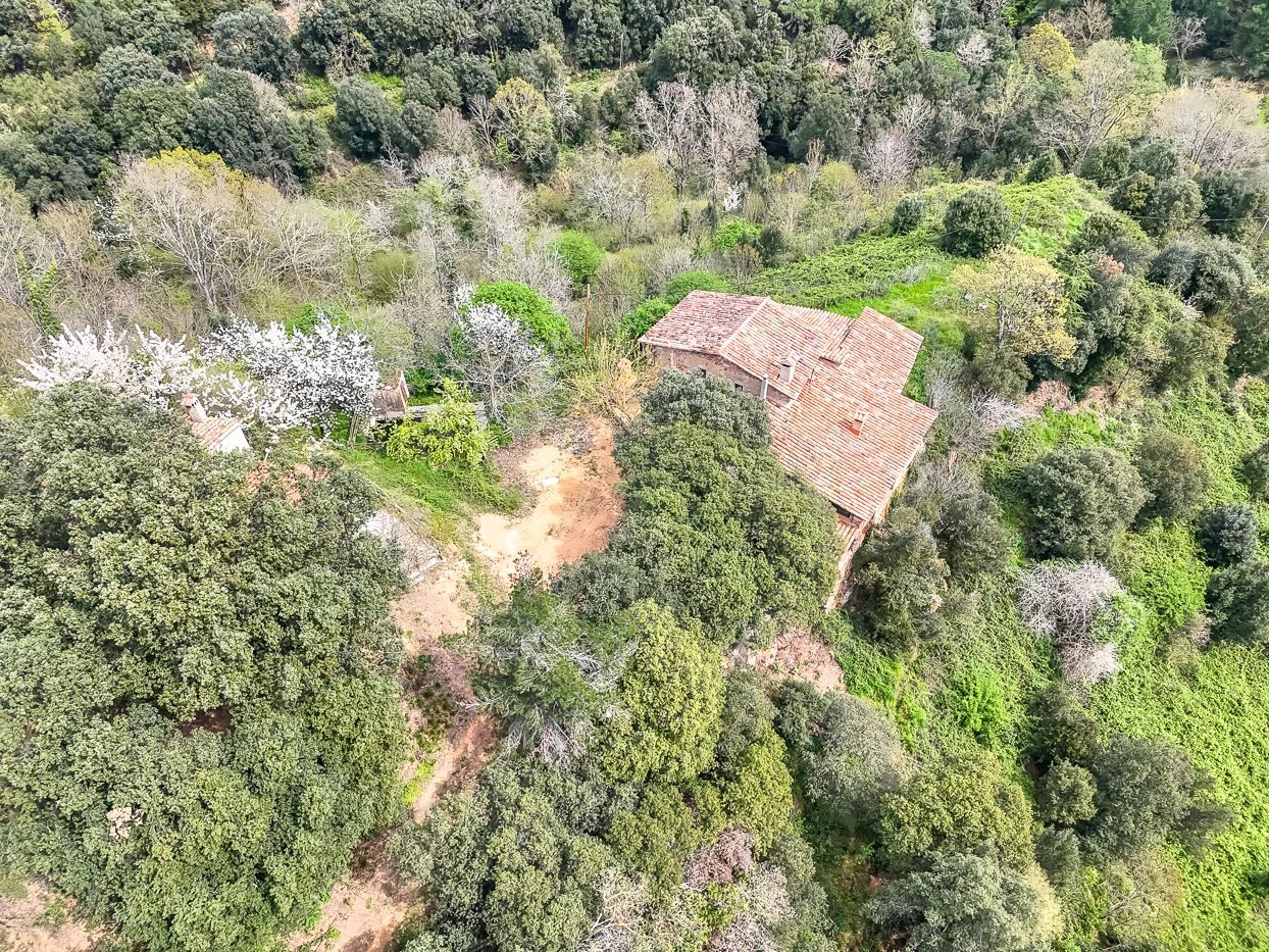 9997 - Masía con 23 hectáreas en el parque natural del Montseny