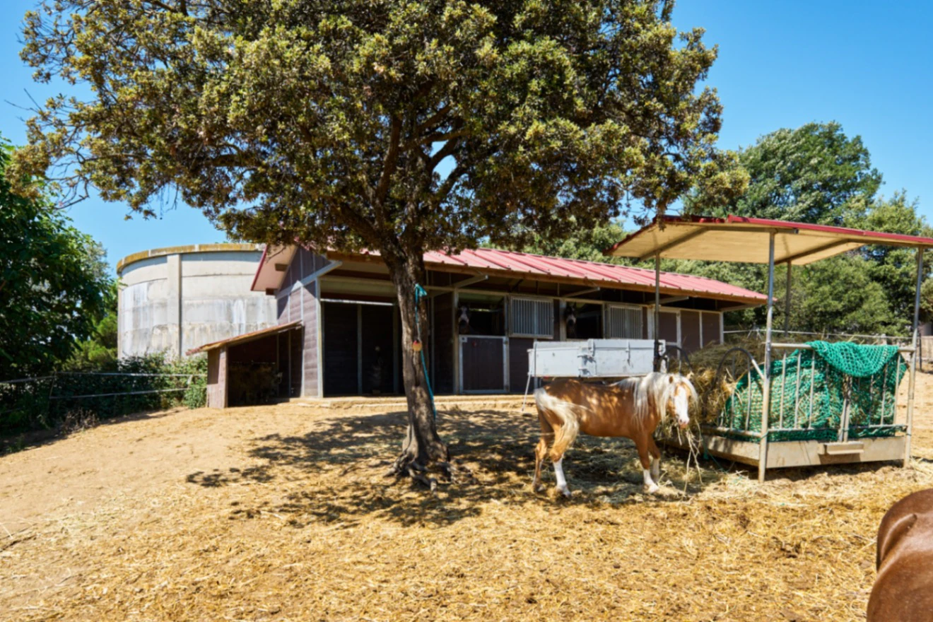 Masía con finca ecuestre en Santa Eulàlia de Ronçana