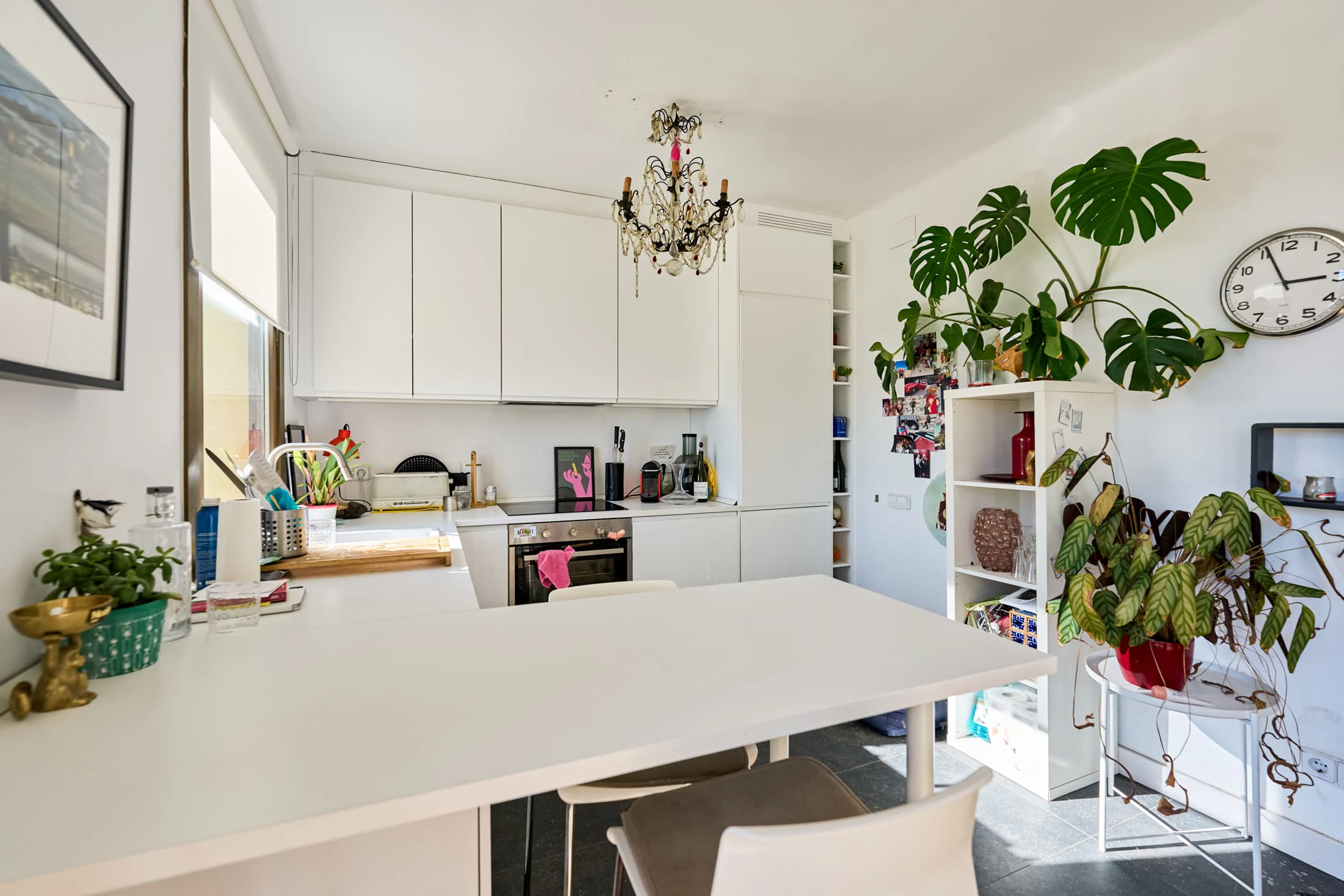 En venta magnífica hípica particular con vivienda en el Vallés