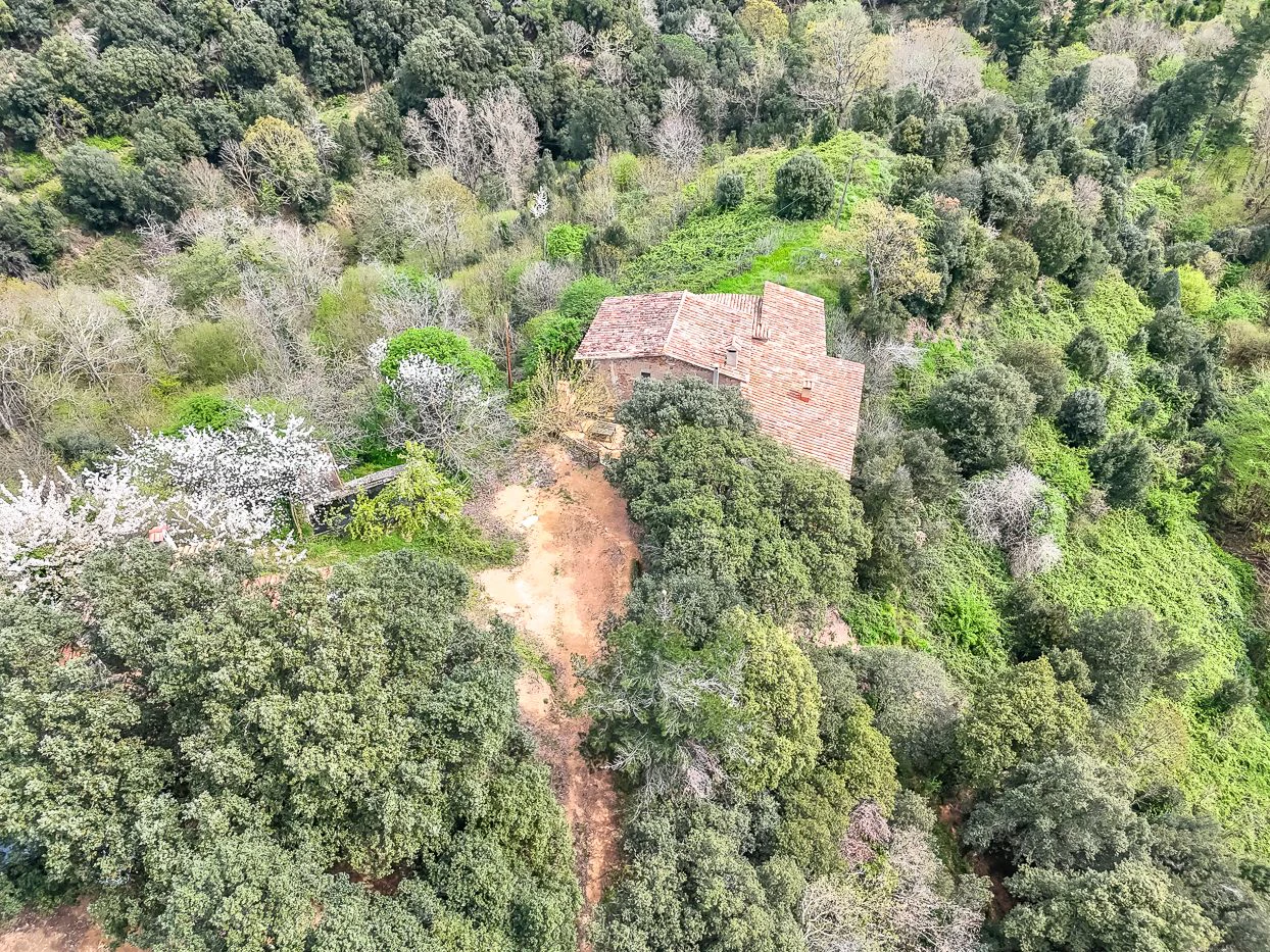 9997 - Masía con 23 hectáreas en el parque natural del Montseny