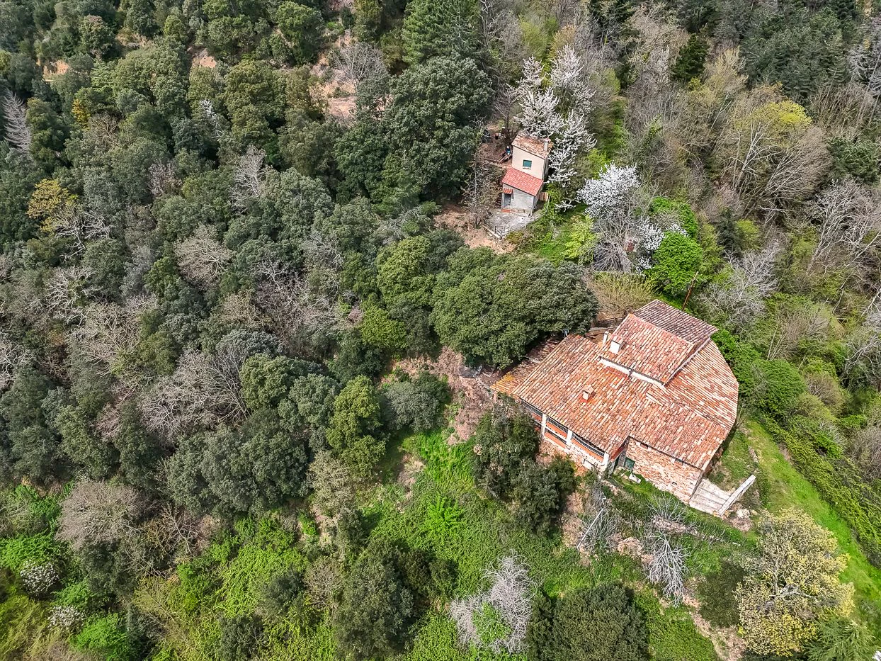 9997 - Masía con 23 hectáreas en el parque natural del Montseny