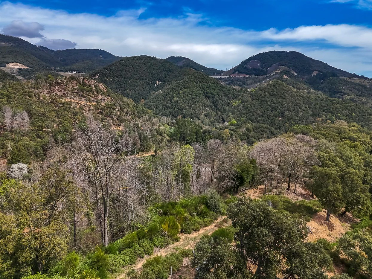 9997 - Masía con 23 hectáreas en el parque natural del Montseny