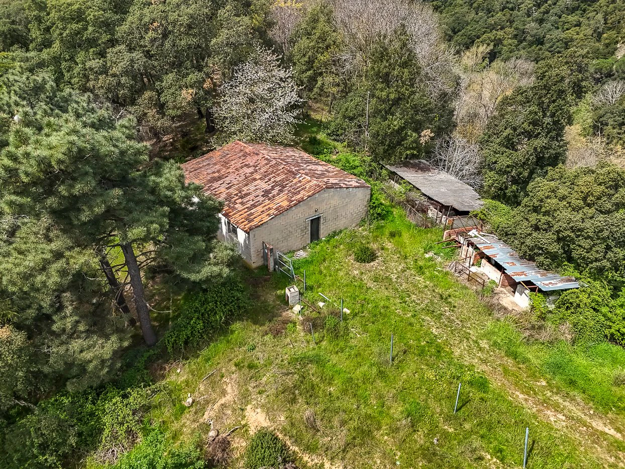 9997 - Masía con 23 hectáreas en el parque natural del Montseny