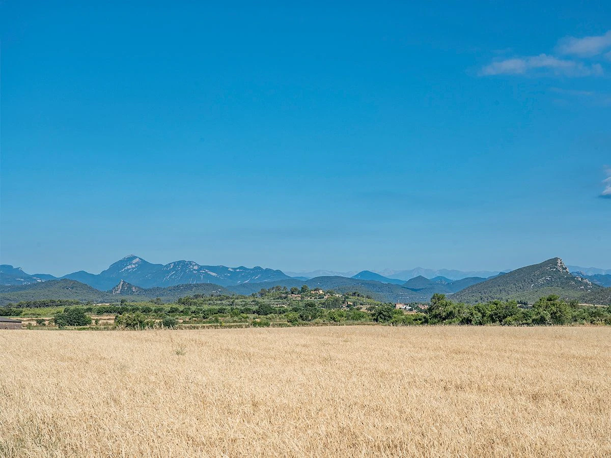 1645 - Masia para rehabilitar en el Empordà con 12 hectáreas de cultivo y 9 ha de bosque