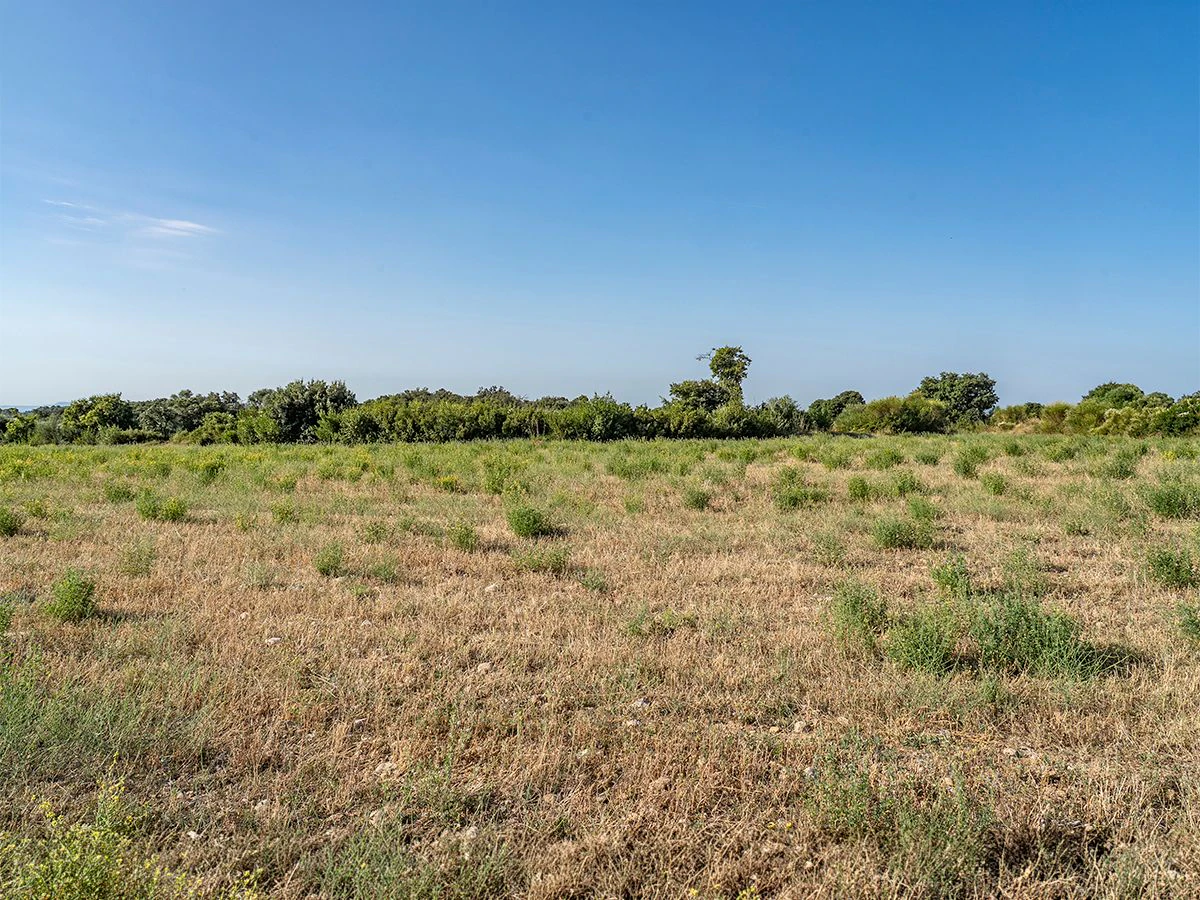 1645 - Masia para rehabilitar en el Empordà con 12 hectáreas de cultivo y 9 ha de bosque