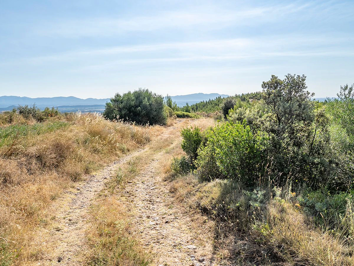 1645 - Masia para rehabilitar en el Empordà con 12 hectáreas de cultivo y 9 ha de bosque