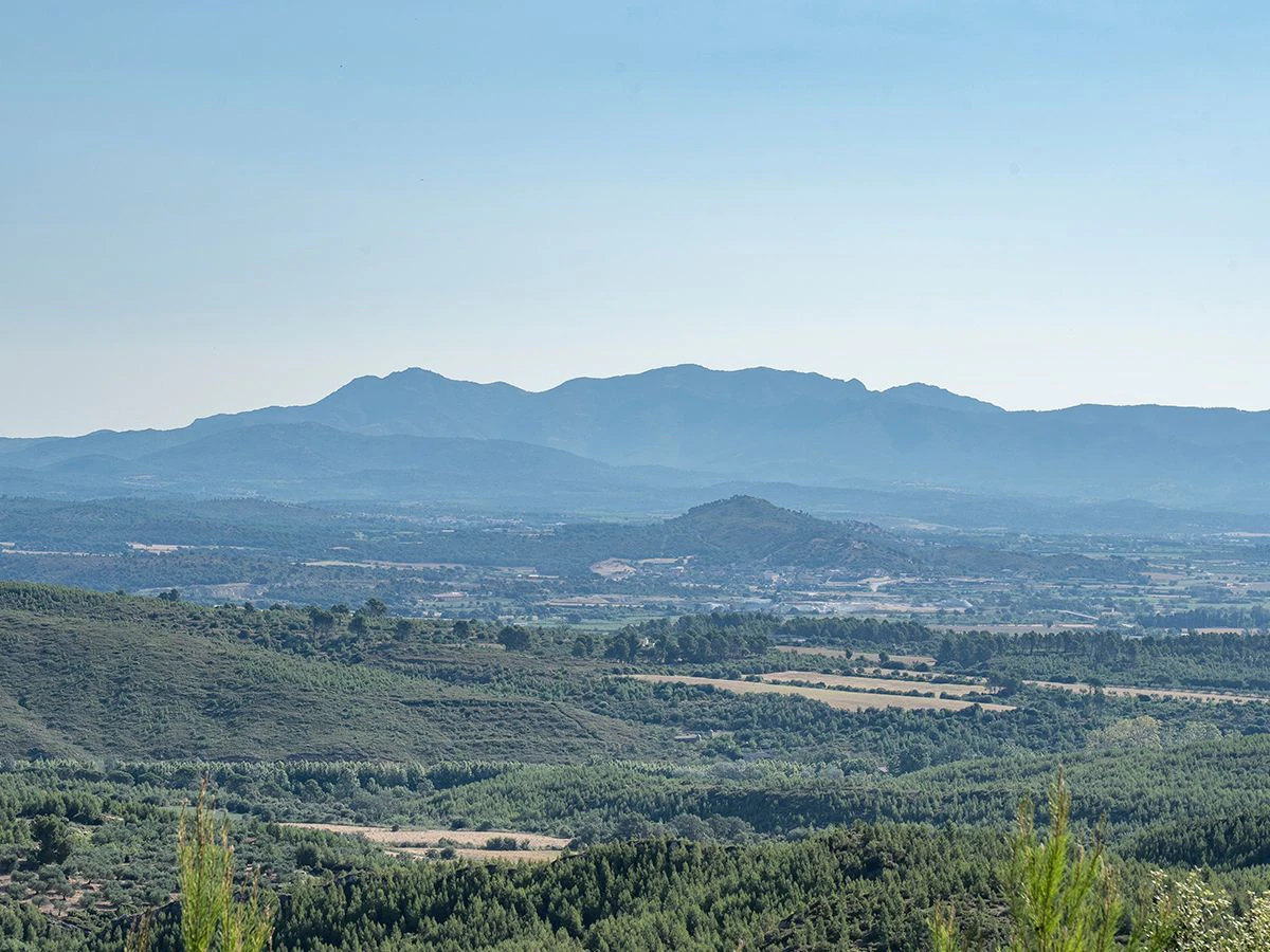 1645 - Masia para rehabilitar en el Empordà con 12 hectáreas de cultivo y 9 ha de bosque