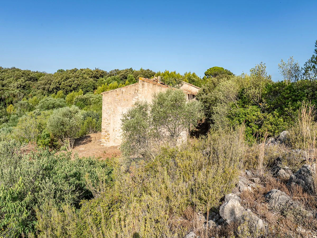 1645 - Masia para rehabilitar en el Empordà con 12 hectáreas de cultivo y 9 ha de bosque