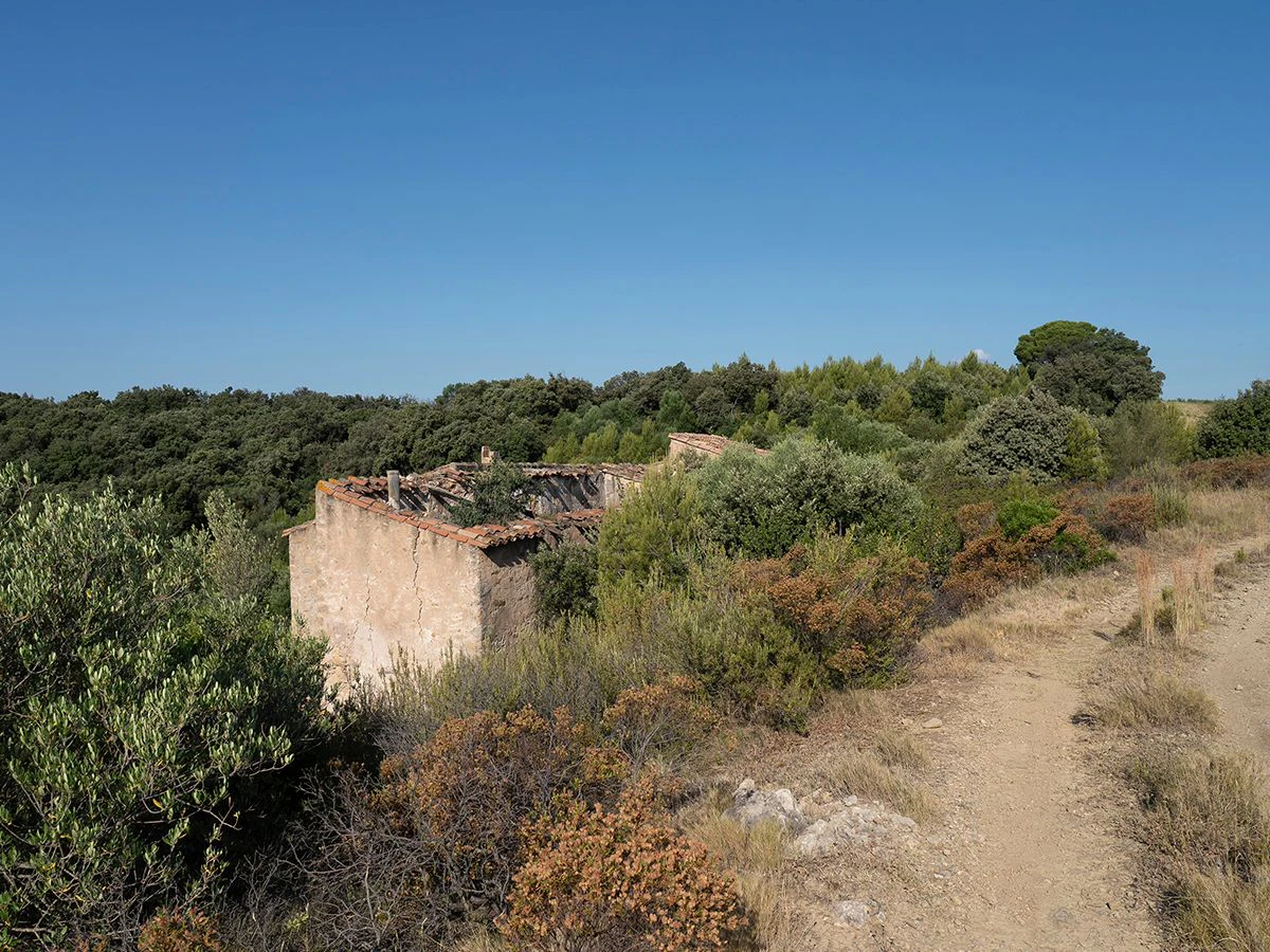 1645 - Masia para rehabilitar en el Empordà con 12 hectáreas de cultivo y 9 ha de bosque