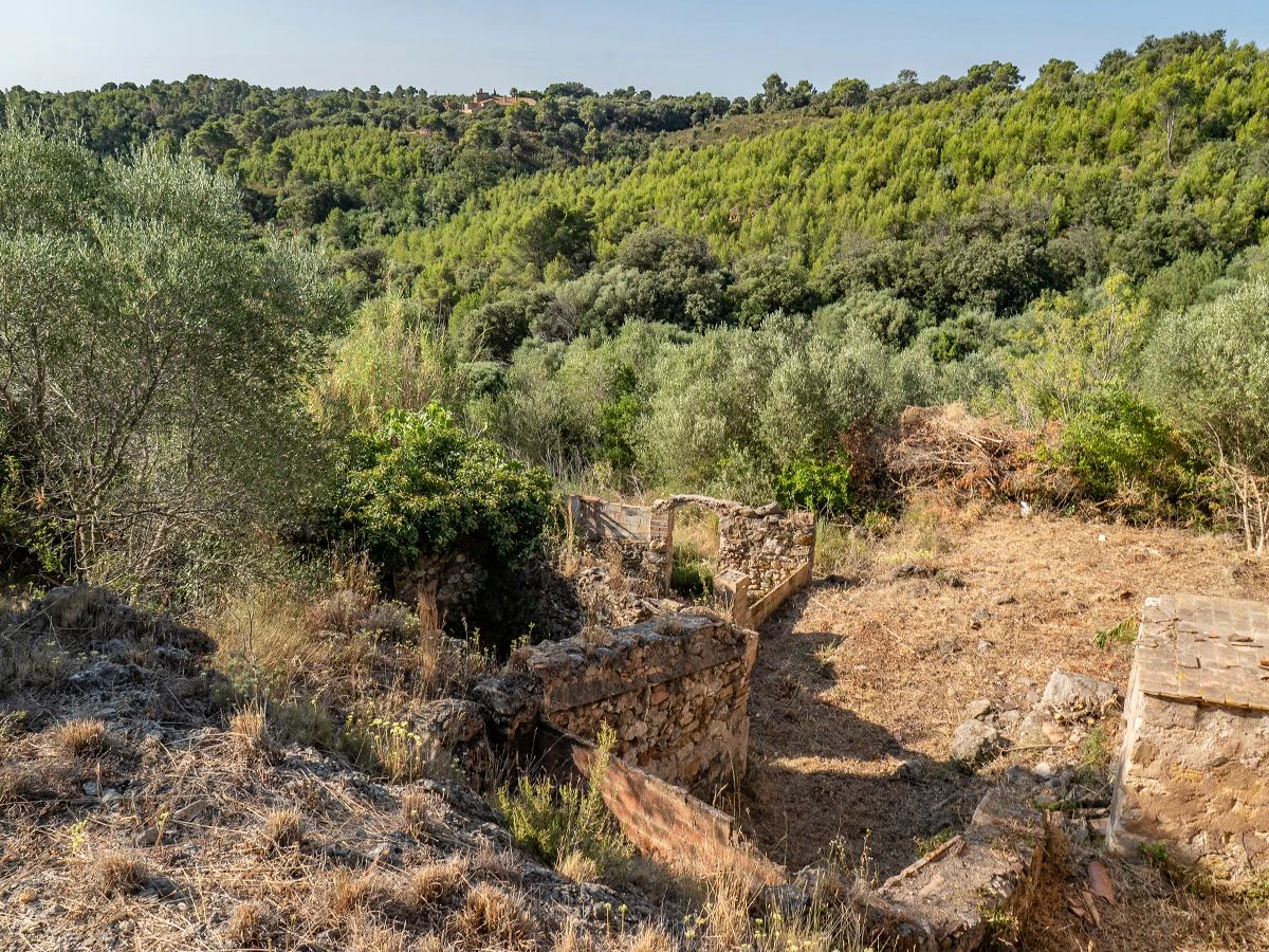 1645 - Masia para rehabilitar en el Empordà con 12 hectáreas de cultivo y 9 ha de bosque