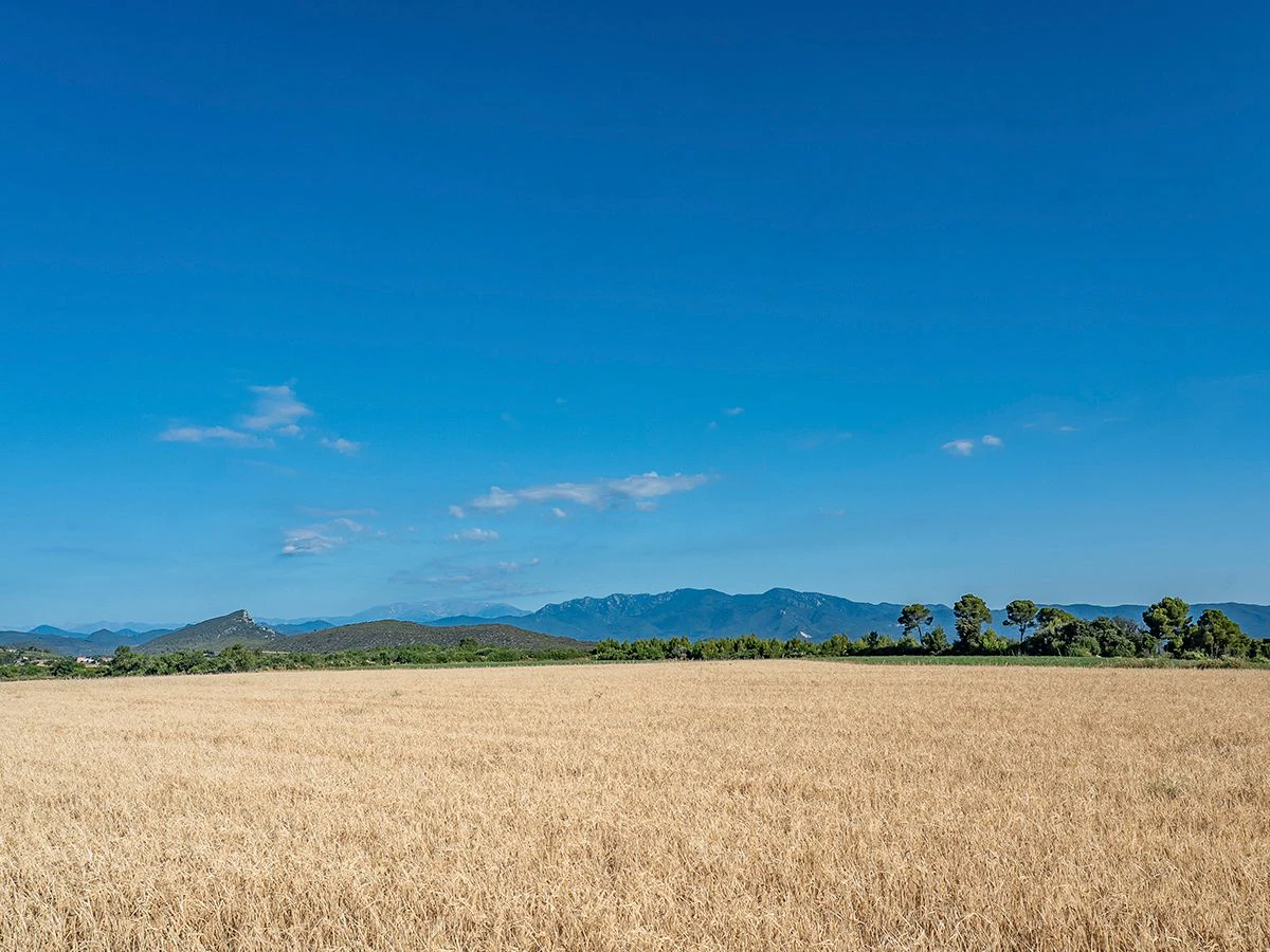 1645 - Masia para rehabilitar en el Empordà con 12 hectáreas de cultivo y 9 ha de bosque