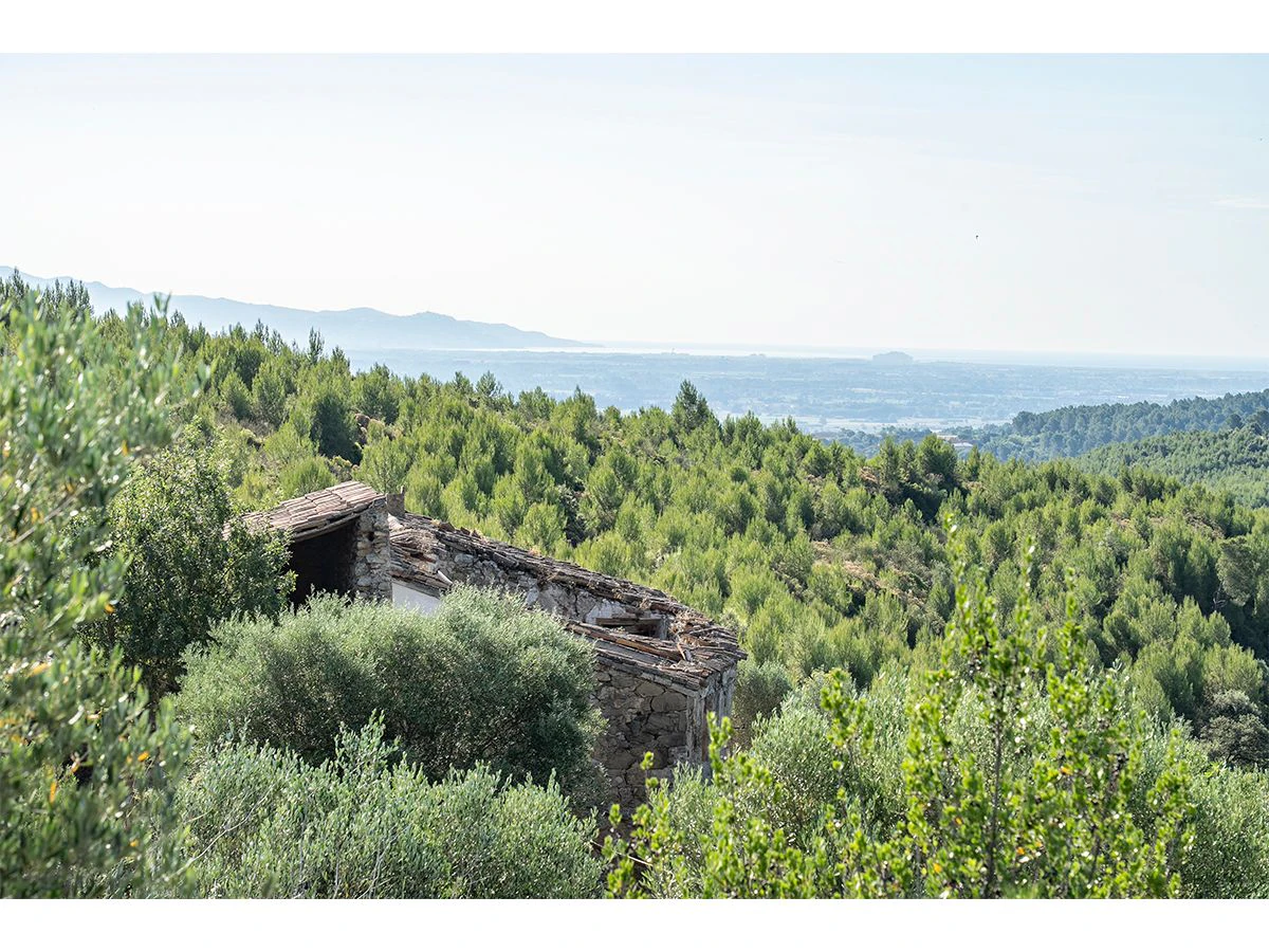 1645 - Masia para rehabilitar en el Empordà con 12 hectáreas de cultivo y 9 ha de bosque