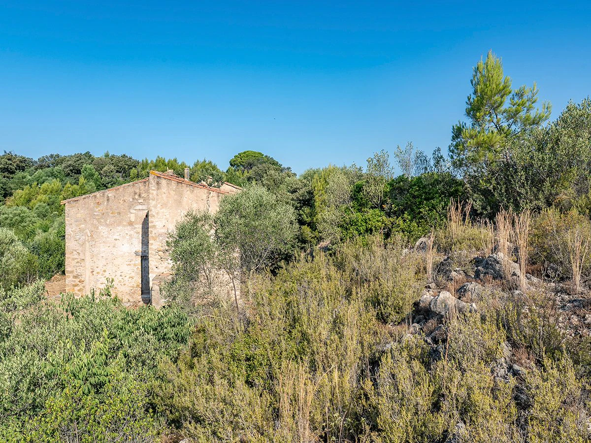 1645 - Masia para rehabilitar en el Empordà con 12 hectáreas de cultivo y 9 ha de bosque