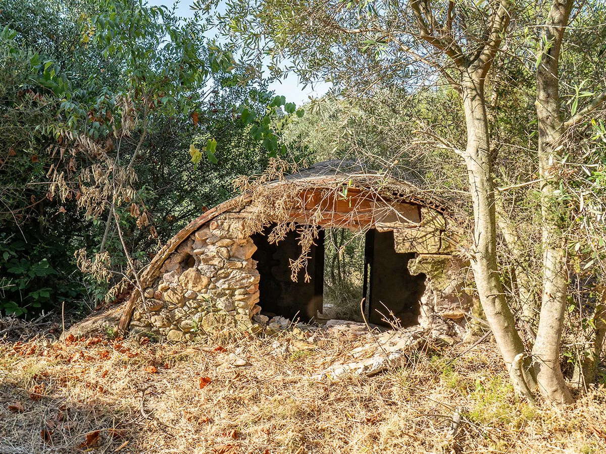 1645 - Masia para rehabilitar en el Empordà con 12 hectáreas de cultivo y 9 ha de bosque