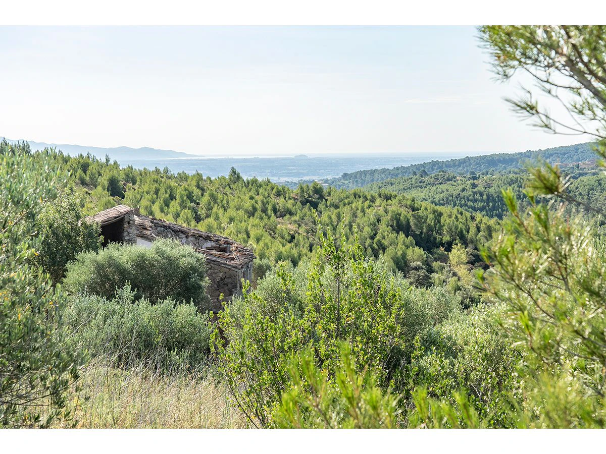 1645 - Masia para rehabilitar en el Empordà con 12 hectáreas de cultivo y 9 ha de bosque