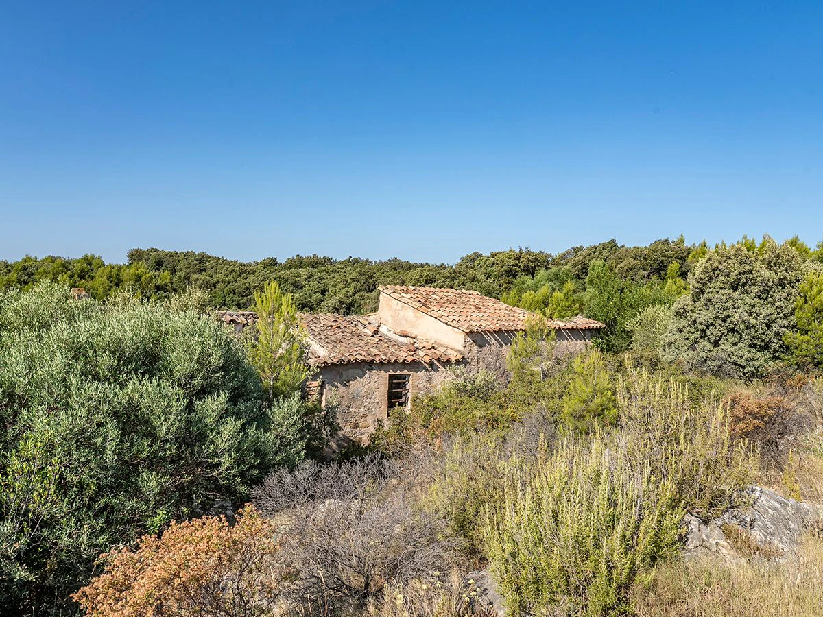 1645 - Masia para rehabilitar en el Empordà con 12 hectáreas de cultivo y 9 ha de bosque