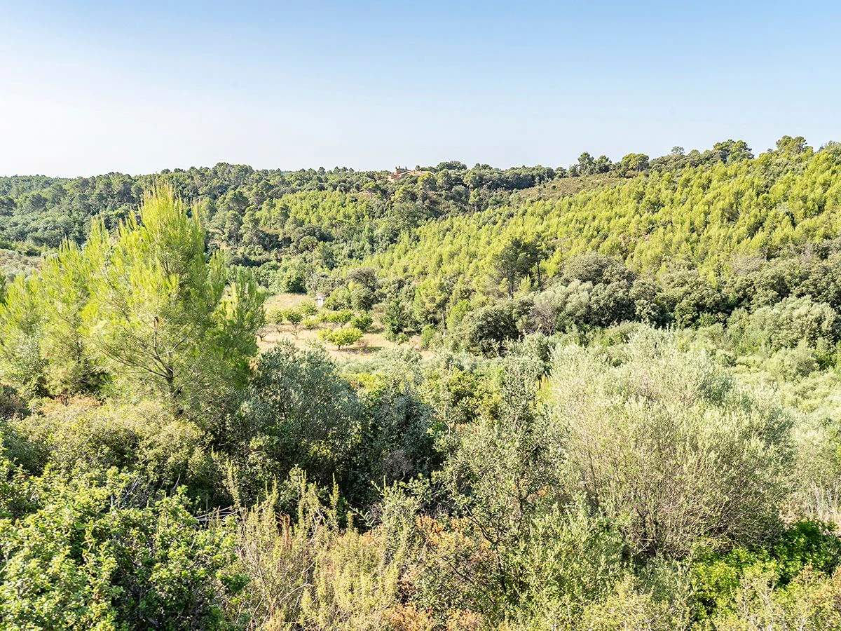 1645 - Masia para rehabilitar en el Empordà con 12 hectáreas de cultivo y 9 ha de bosque