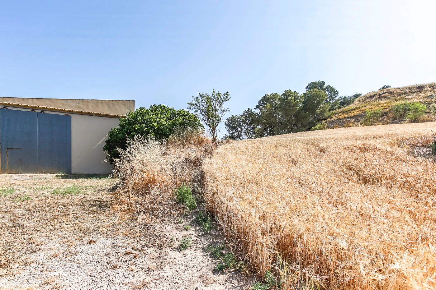 8820 - CASA RURAL CERCA DE MONTFALCÓ MURALLAT