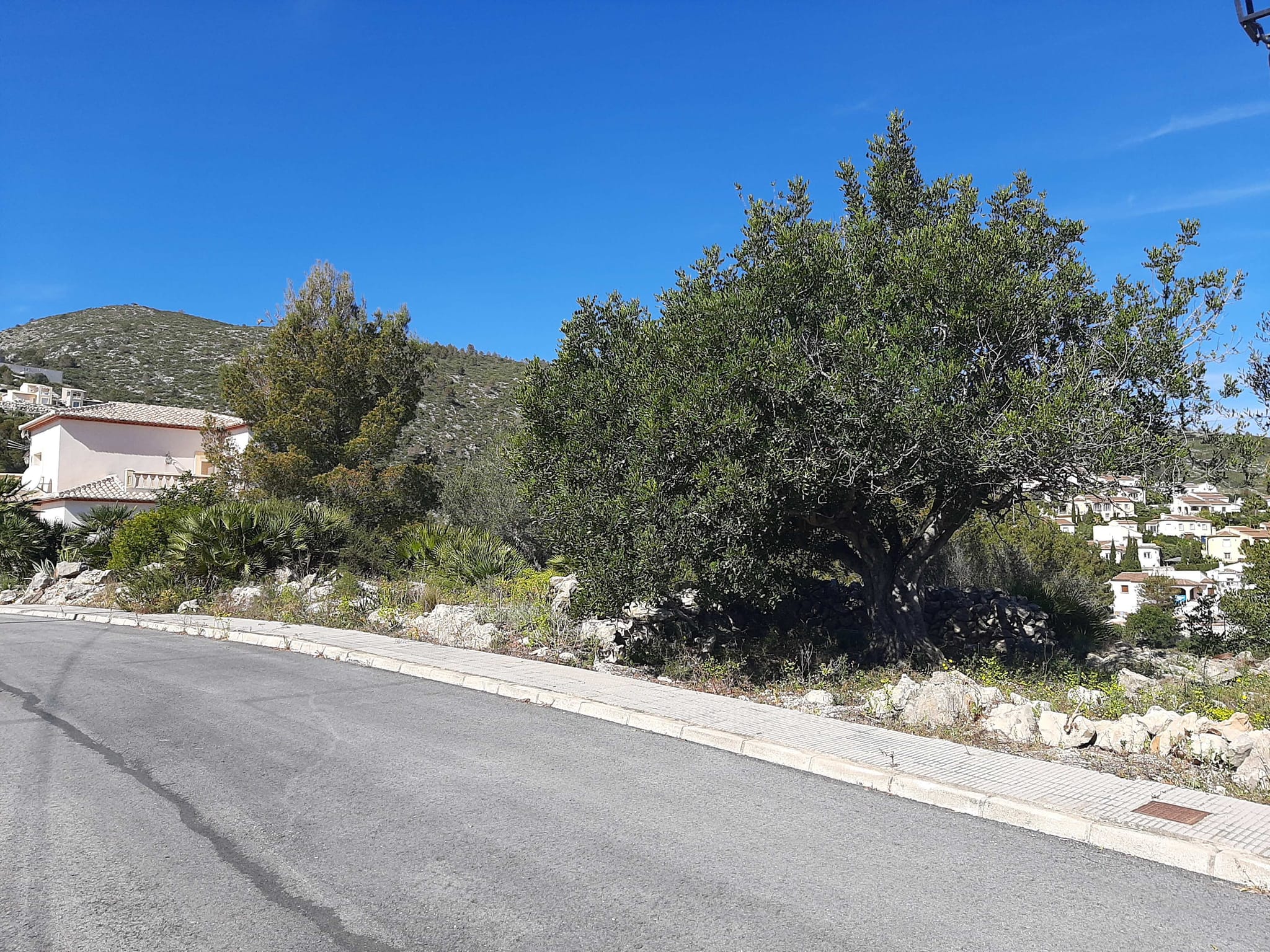 Terreno en venta en Alcalalí