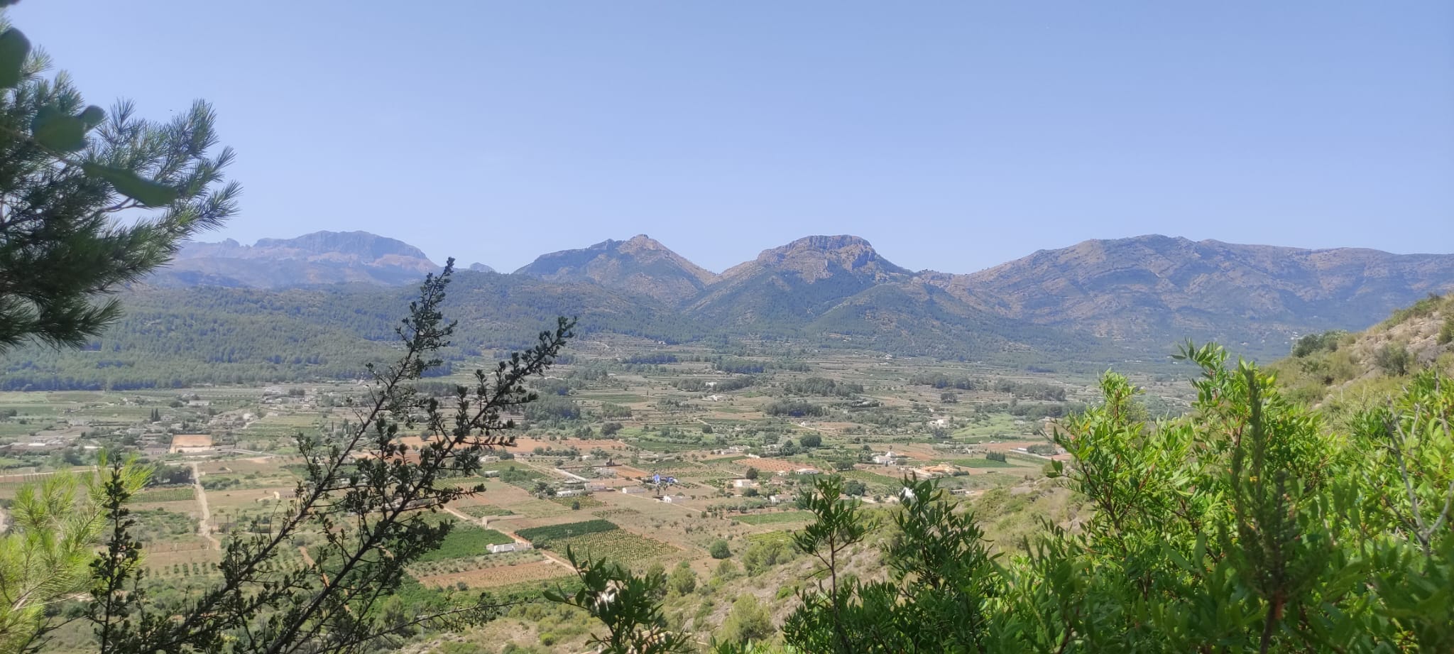 Terreno en venta en Jalón, Alicante - 600 m² orientado al sur