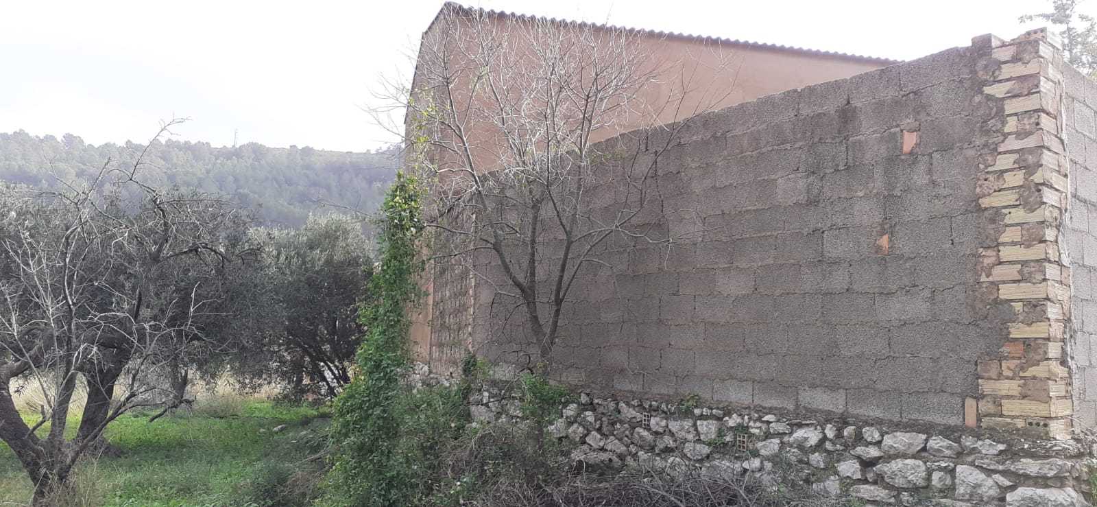 Terreno con caseta y corral