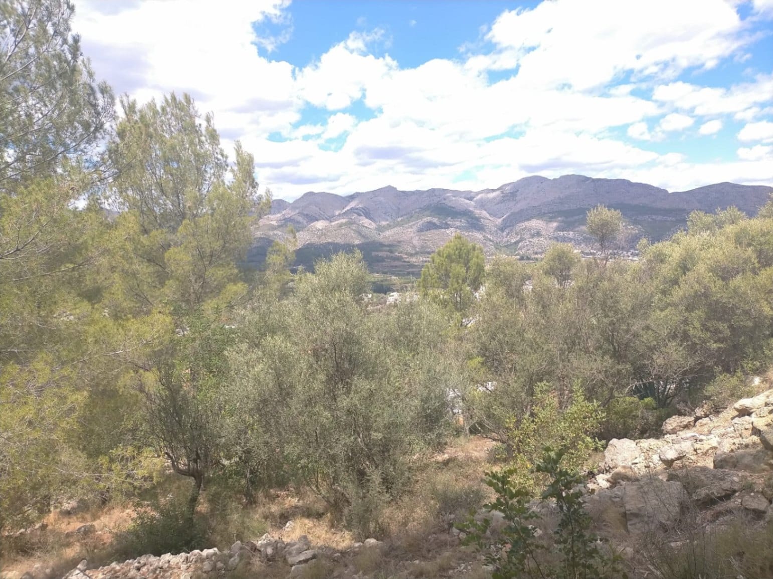 Parcela en venta en Orba