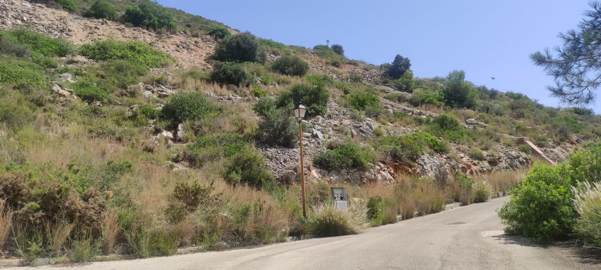 Terreno en venta en Jalón, Alicante - 600 m² orientado al sur
