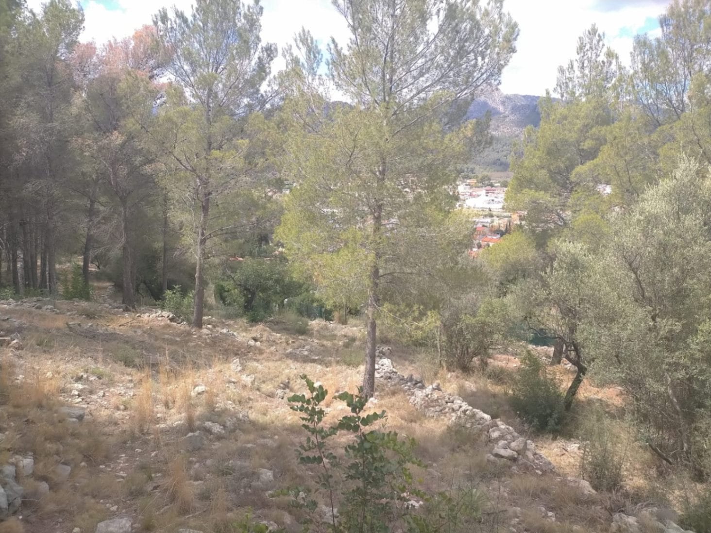 Parcela en venta en Orba
