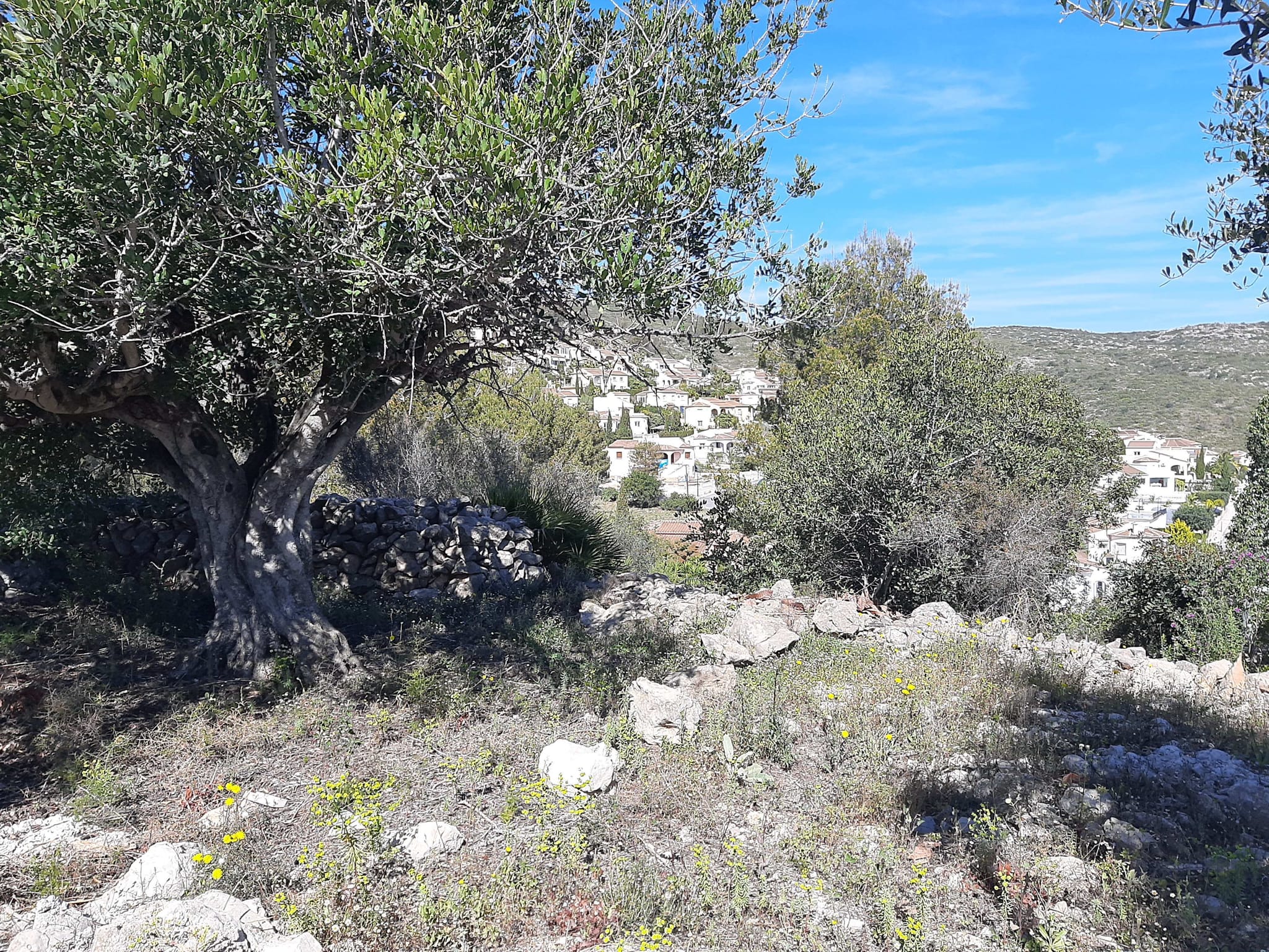 Terreno en venta en Alcalalí