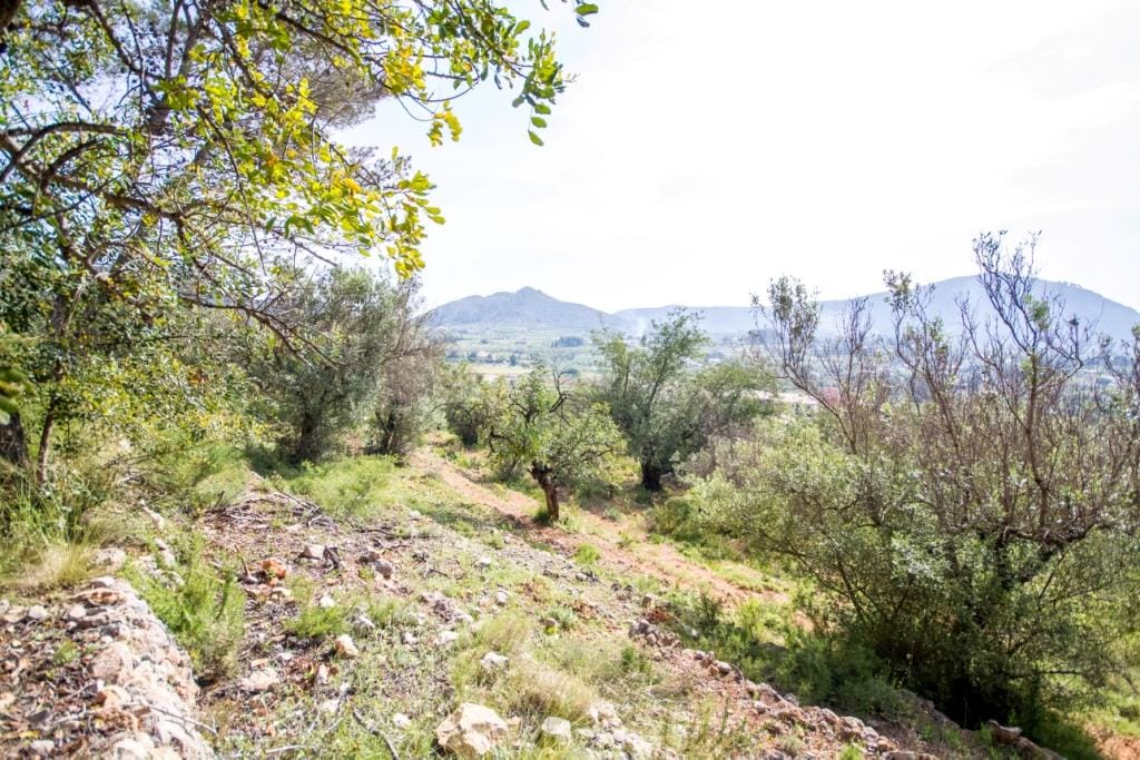 Parcela en Murla con bonitas vistas