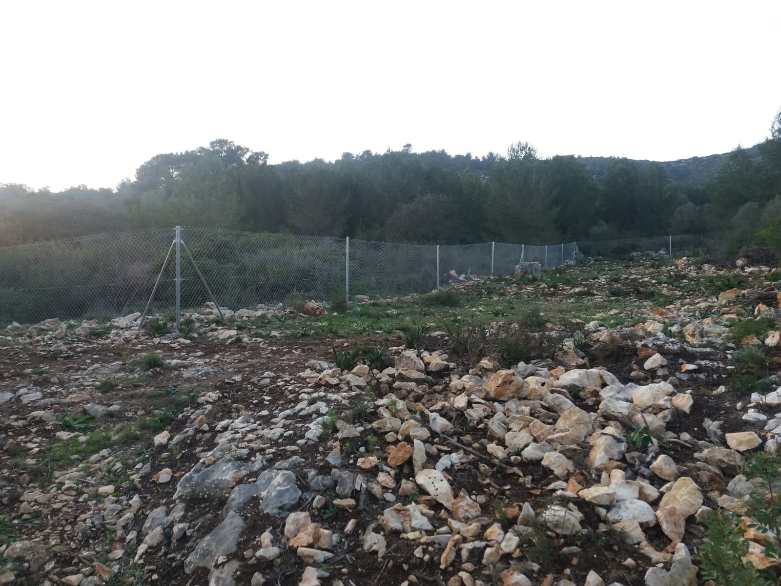 Terreno en venta en Alcalalí