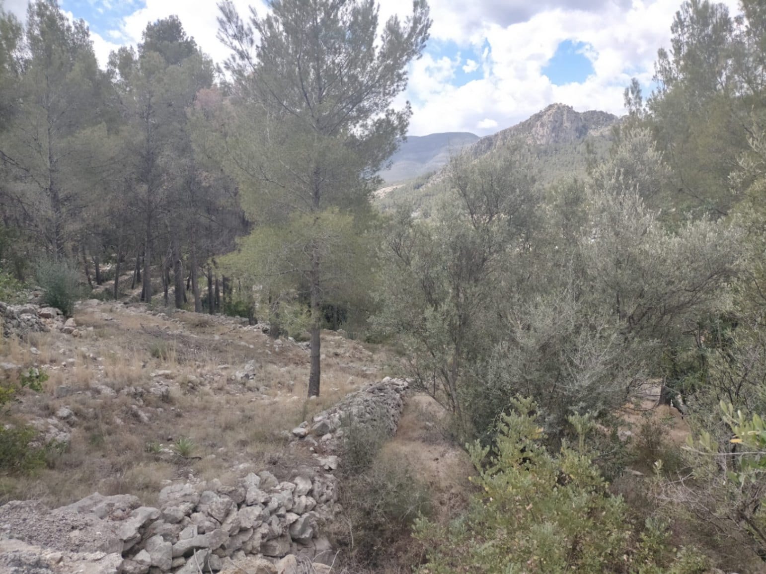 Parcela en venta en Orba