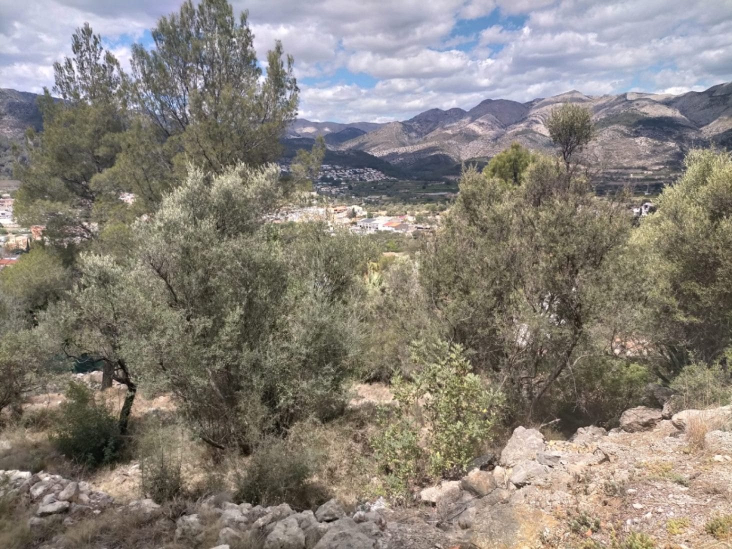 Parcela en venta en Orba