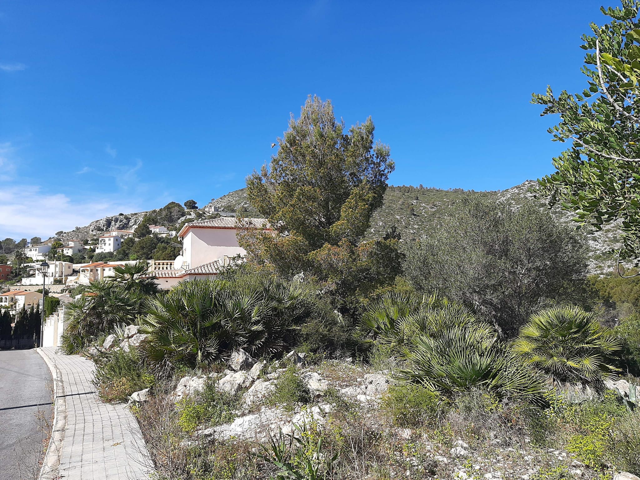 Terreno en venta en Alcalalí
