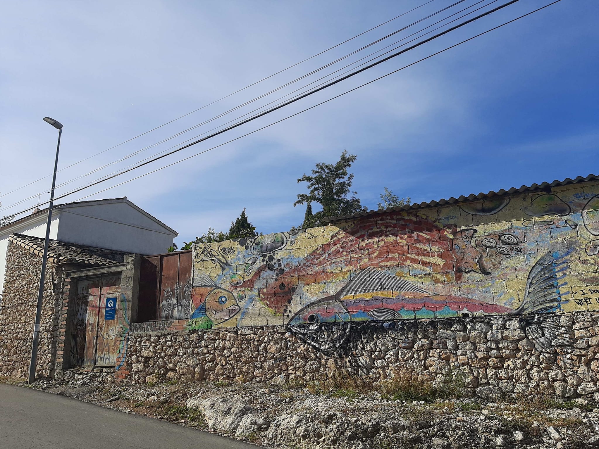 Terreno con caseta y corral