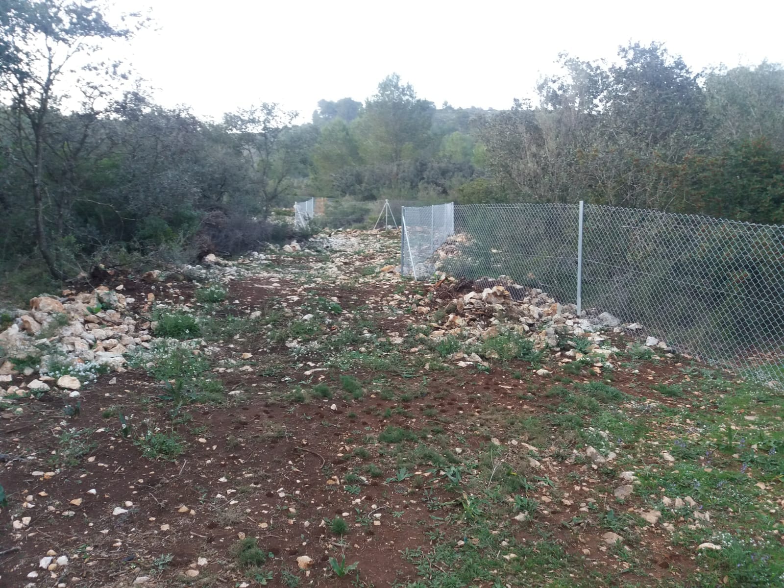 Terreno en venta en Alcalalí