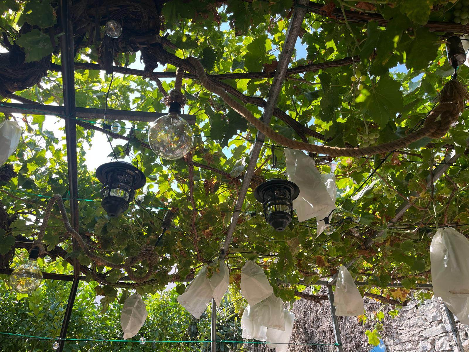 Casa de pueblo con jardín en Castells de Castells