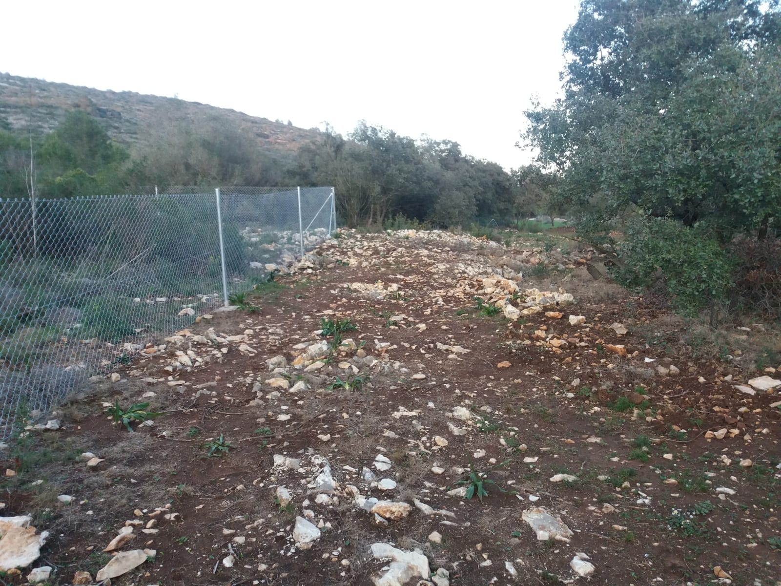 Terreno en venta en Alcalalí