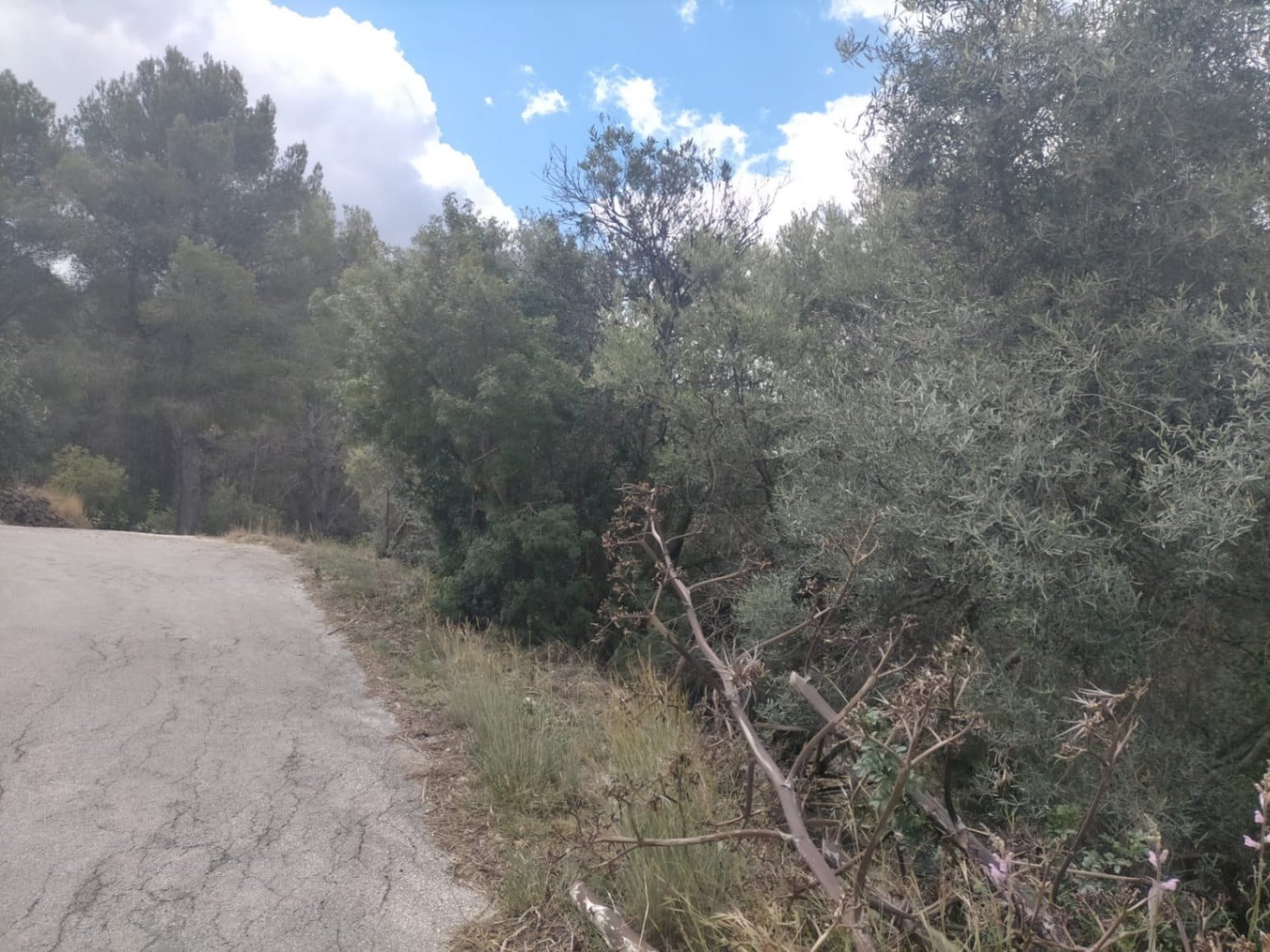 Parcela en venta en Orba