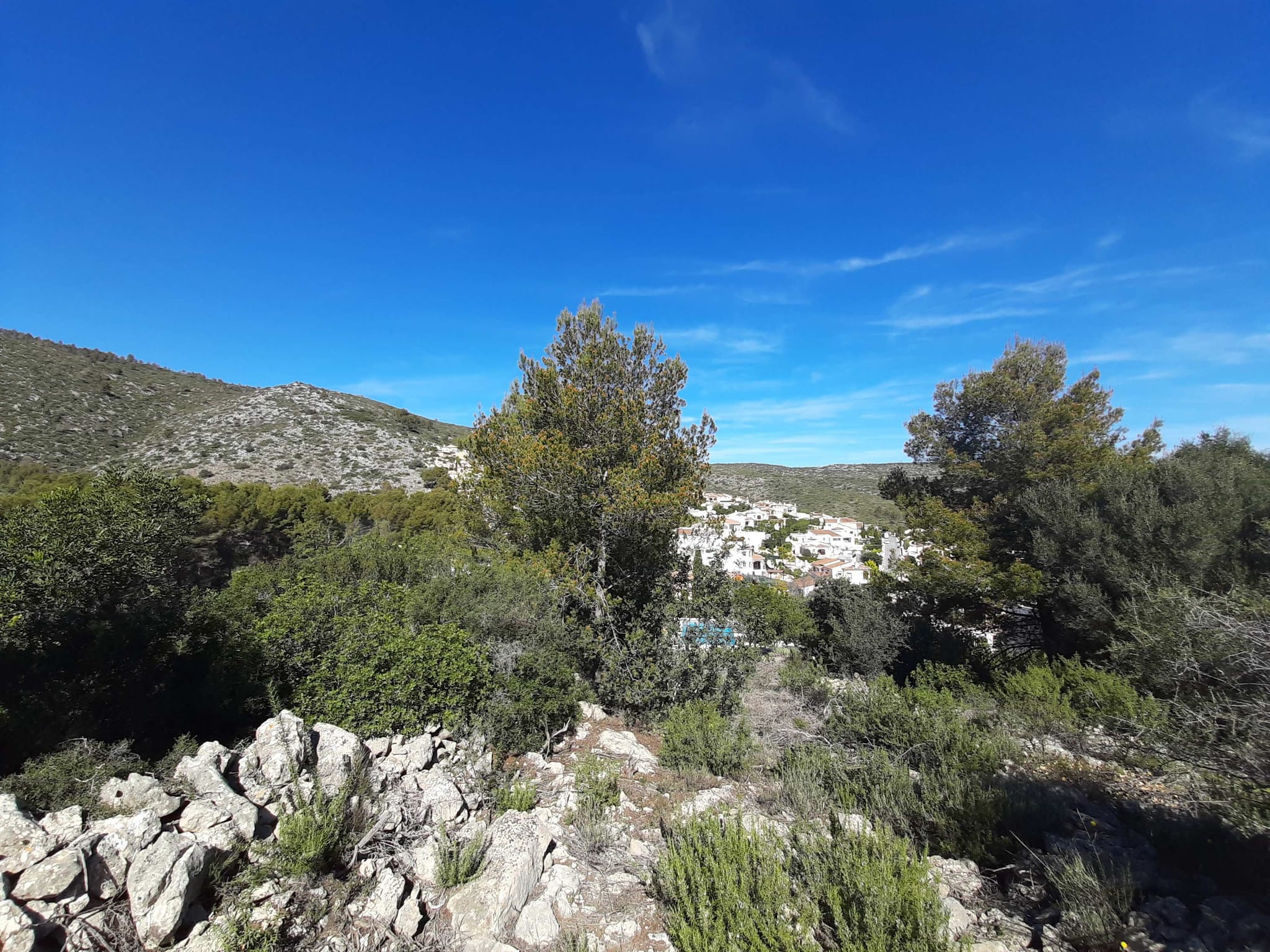 Terreno en venta en Alcalalí