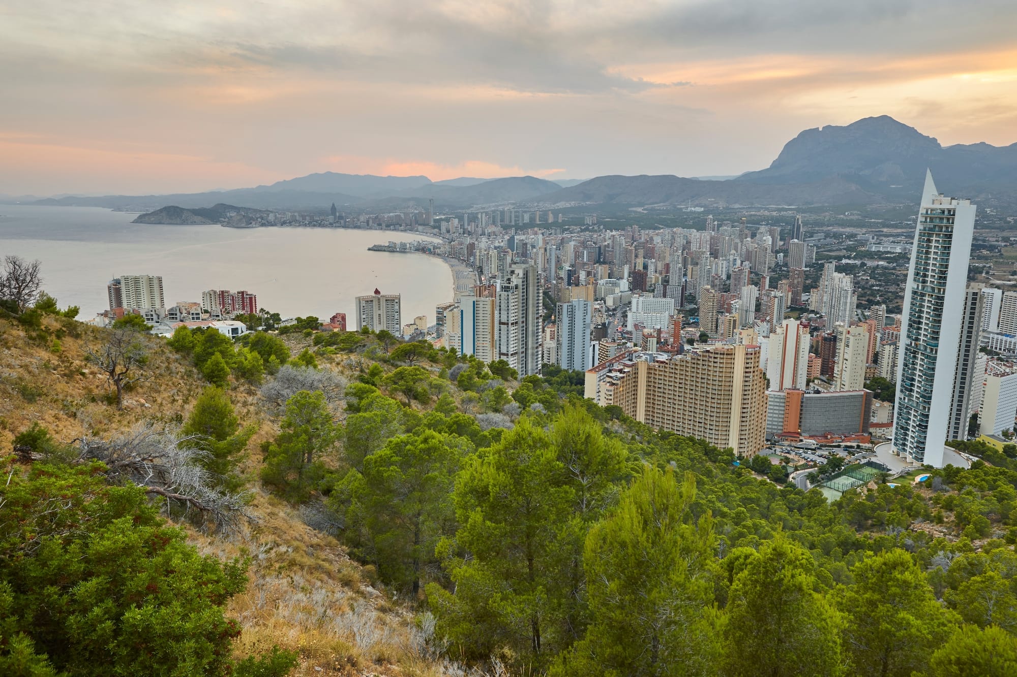 Fiesta, um Benidorm zu genießen