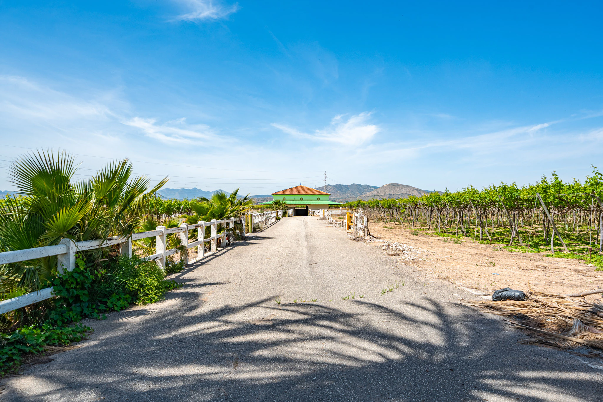 Exclusive Mediterranean Estate with Vineyards and Lakes for sale in Novelda